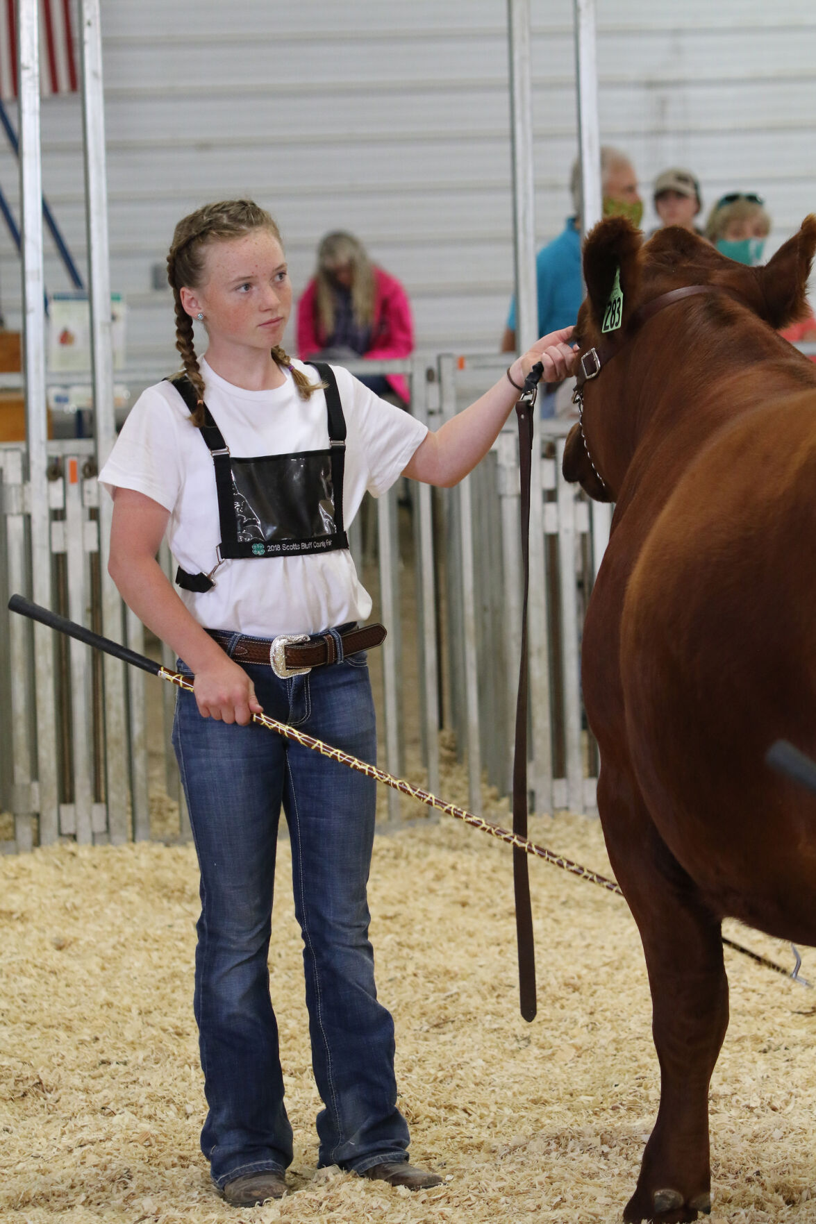 PHOTOS: Market Beef Show 2020